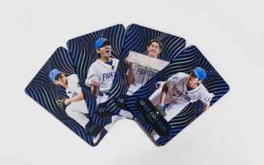 Bulkkot Baseball media IP cards